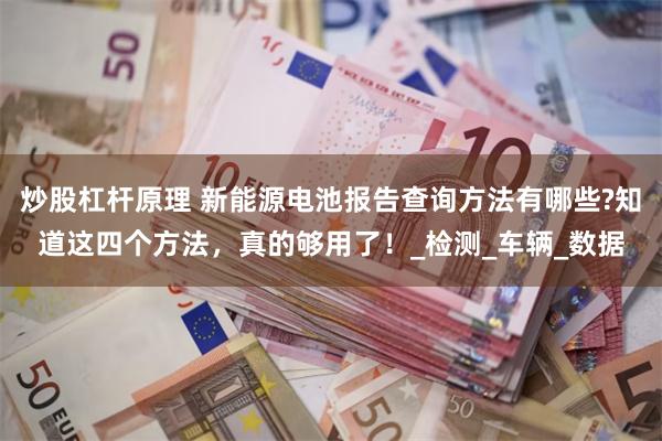 炒股杠杆原理 新能源电池报告查询方法有哪些?知道这四个方法，真的够用了！_检测_车辆_数据