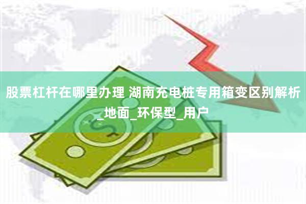 股票杠杆在哪里办理 湖南充电桩专用箱变区别解析_地面_环保型_用户