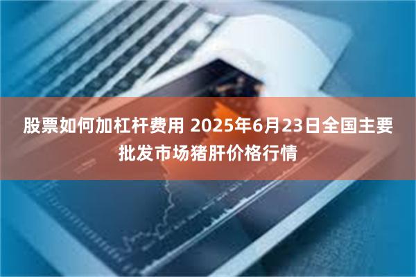 股票如何加杠杆费用 2025年6月23日全国主要批发市场猪肝价格行情