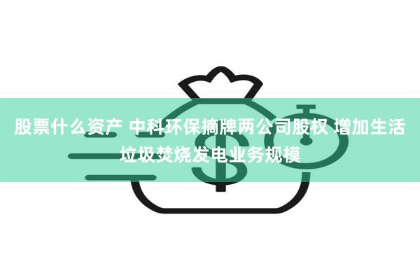 股票什么资产 中科环保摘牌两公司股权 增加生活垃圾焚烧发电业务规模