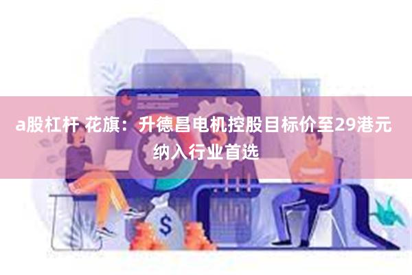 a股杠杆 花旗：升德昌电机控股目标价至29港元 纳入行业首选