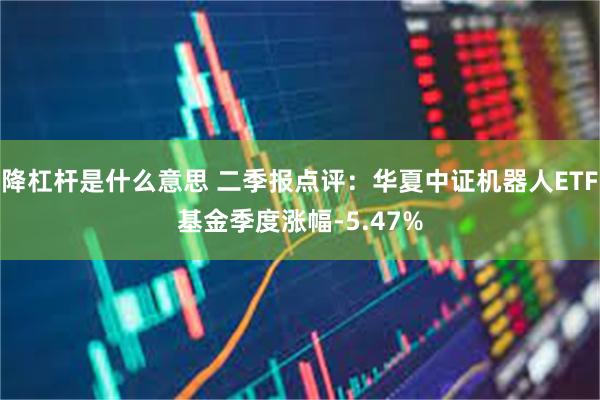降杠杆是什么意思 二季报点评：华夏中证机器人ETF基金季度涨幅-5.47%
