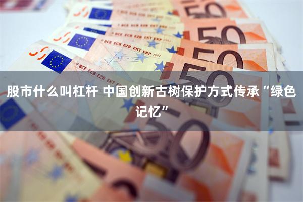 股市什么叫杠杆 中国创新古树保护方式传承“绿色记忆”